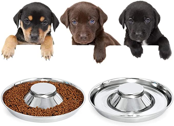 KASBAH Stainless Steel Dog Bowls for Puppy,Puppy Feeder Bowl for Feeding Food and Water Weaning Pet Feeder Bowl Water Bowl for Small Dogs/Cats/Pets