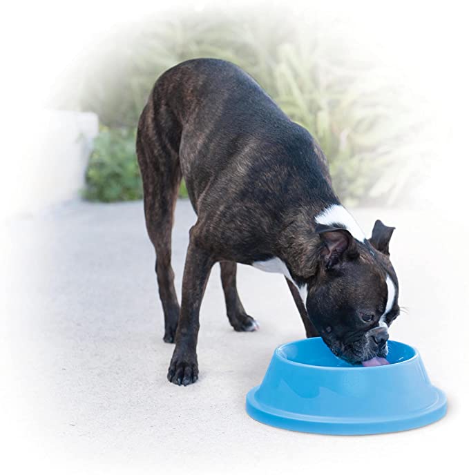 K&H Pet Products Coolin' Pet Bowl 32oz. Sky Blue - Fresh Cool Water For Your Pet!