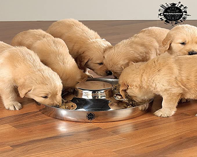 King International Stainless Steel 2 Puppy Bowls,Puppy Food Bowl,Puppy Bowls for Small Dogs,11.4'',Puppy Bowl,Puppy Supplies,Puppy Feeder,Puppy Feeding Bowls for Litters