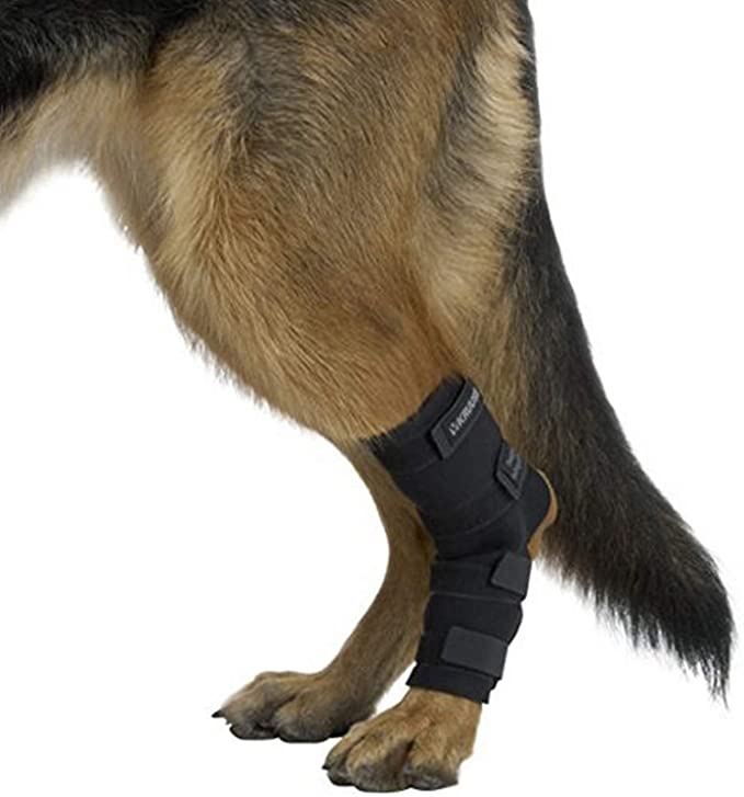 Kruuse Rehab Hock Protector for Dogs