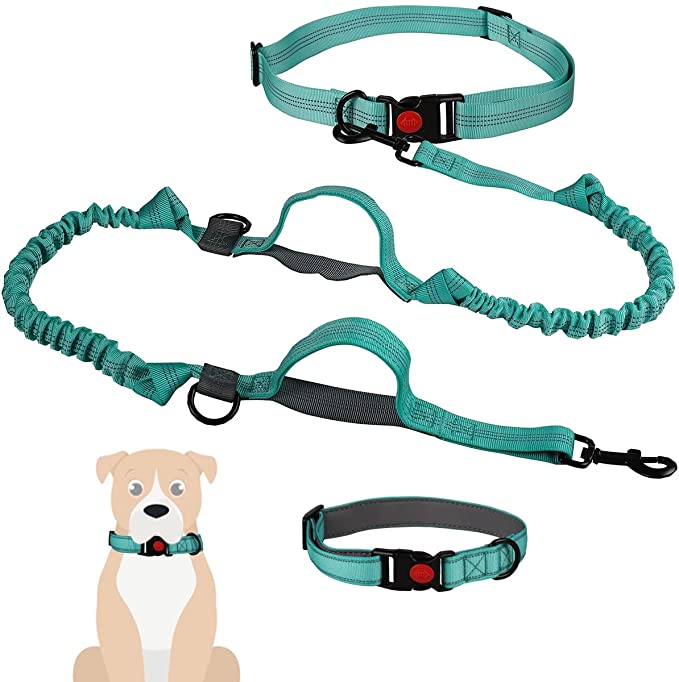 Kytely Hands Free Dog Leash with Dog Collar Dog Running Waist Leash Adjustable Waist Belt Dual Padded Handles and Bungee Leash Reflecting Stitches for Training Walking and Hiking