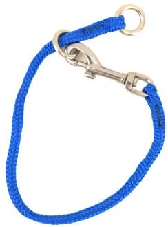 Leerburg Dominant Dog Collar - Blue