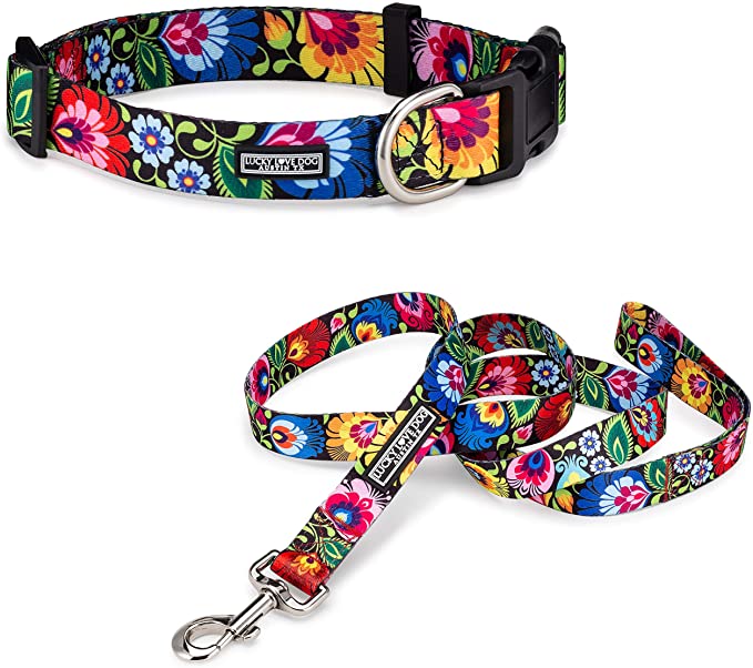 Lucky Love Dog Collar Combo Set | Matching Collar & Leash | Convenient & Reliable Small to Large