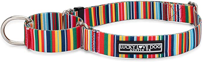 Lucky Love Dog Martingale Collar | Premium No Slip Collar | Great for Whippets