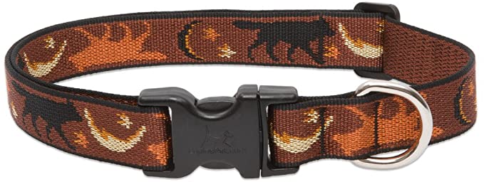 Lupine 1 Inch Shadow Hunter Adjustable Dog Collar for Medium and Large Dogs - Brown