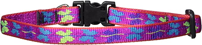Lupine 1/2-Inch Wing It Adjustable Dog Collar for Small Dogs
