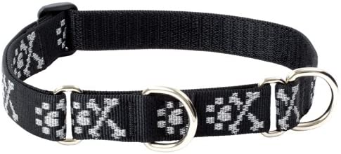 Lupine 1-Inch Bling Bonz Martingale Combo Collar for Large Dogs