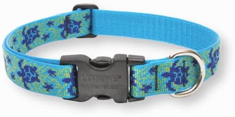 Lupine 1-Inch Turtle Reef Adjustable Dog Collar
