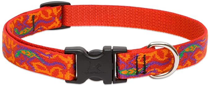 Lupine 3/4 Inch Go Go Gecko Adjustable Dog Collar for Small to Large Dogs