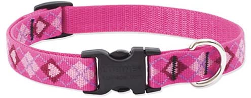 Lupine 3/4 Inch Puppy Love Adjustable Dog Collar for Small to Large Dogs