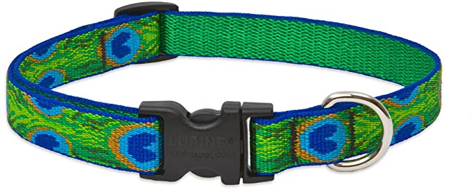 Lupine 3/4 Inch Tail Feathers Adjustable Dog Collar