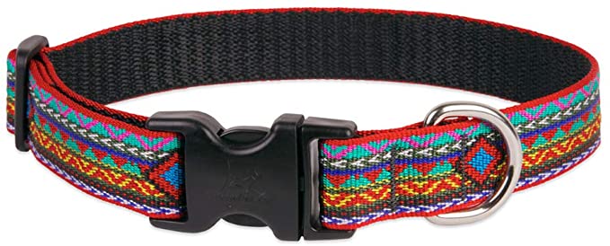Lupine Dog Collar 1" Wide El Paso Design adjusts 12-20" Long