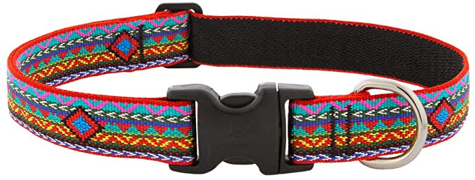 Lupine Dog Collar 1" Wide El Paso Design adjusts 16-28" Long