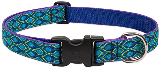 Lupine Rain Song Adjustable Dog Collar for Medium and Large Dogs
