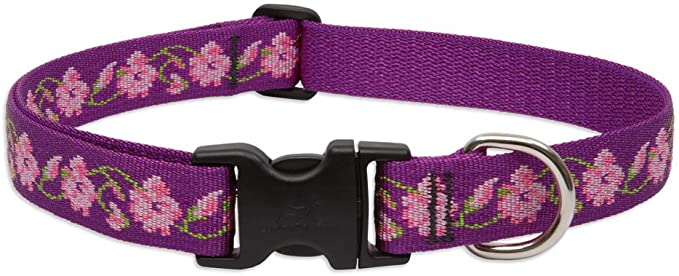 LupinePet 1 Inch Rose Garden Adjustable Dog Collar for Medium and Large Dogs