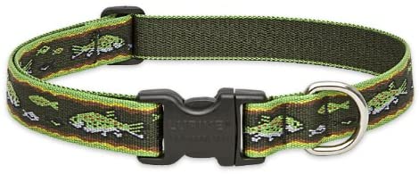 LupinePet Originals 1" Brook Trout 12-20" Adjustable Collar for Medium and Larger Dogs