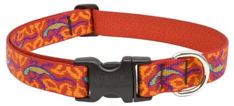 LupinePet Originals 1" Go Go Gecko 12-20" Adjustable Collar for Medium and Larger Dogs