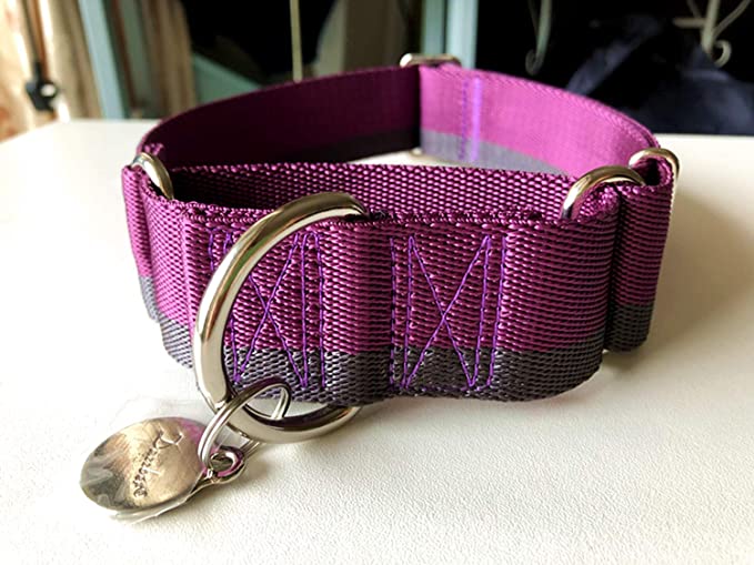 Martingale Collar 1.5 Inch Wide Extra Strong Nylon Dog Collar, No Pull Heavy Duty Dog Collar with 2-Color Stripe for Medium to XLarge Dogs