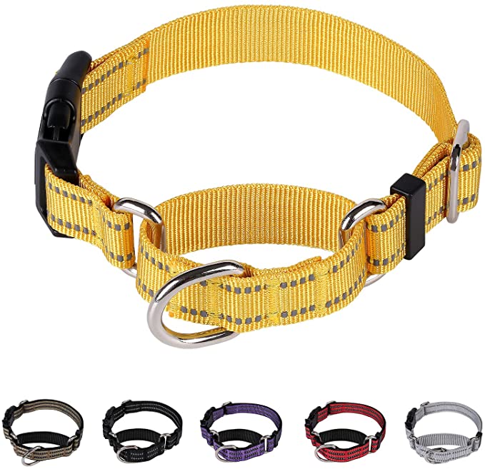 Martingale Dog Collars - Adjustable Reflective Dog Training Collar with Quick Release Buckle for Small Medium Large Dogs.