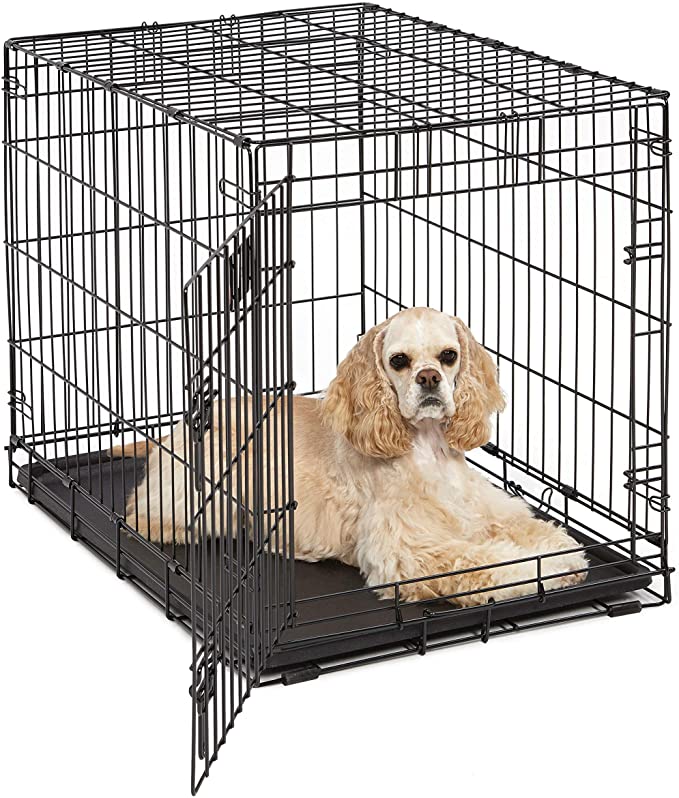 MidWest Homes for Pets Single & Double Door Life Stages Dog Crate - 30 x 19 x 21 inches