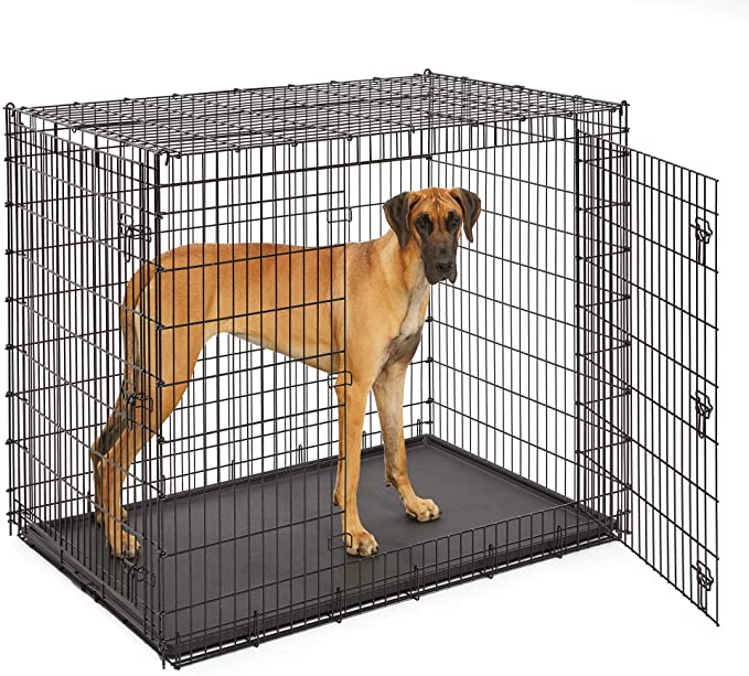 MidWest Homes for Pets XXL Giant Dog Crate | 54-Inch Long Ginormous Dog Crate Ideal for a Great Dane
