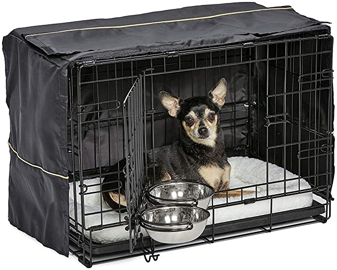 MidWest iCrate Starter Kit | The Perfect Kit for Your New Dog Includes a Dog Crate - 22 x 13 x 16 inches