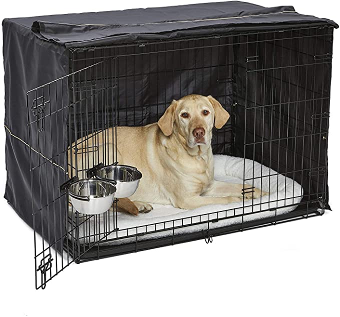 MidWest iCrate Starter Kit | The Perfect Kit for Your New Dog Includes a Dog Crate - 42 x 28 x 31 inches