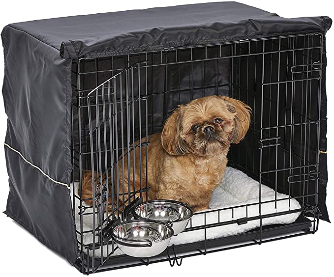 MidWest iCrate Starter Kit | The Perfect Kit for Your New Dog Includes a Dog Crate - 24 x 18 x 19 inches