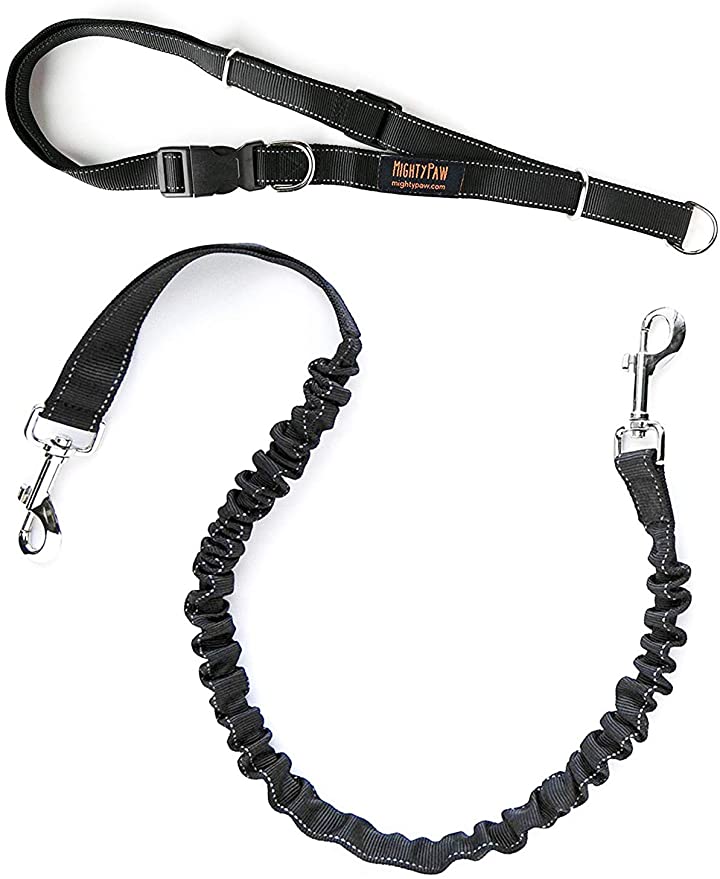 Mighty Paw Hands Free Dog Leash | Premium Runners Pet Lead and Adjustable Hip Belt. Lightweight Reflective Bungee System for Training, Walking, Jogging, Hiking and Running.