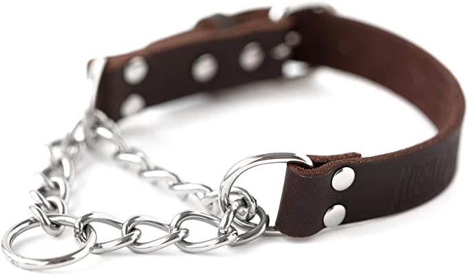 Mighty Paw Leather Training Collar, Martingale Collar