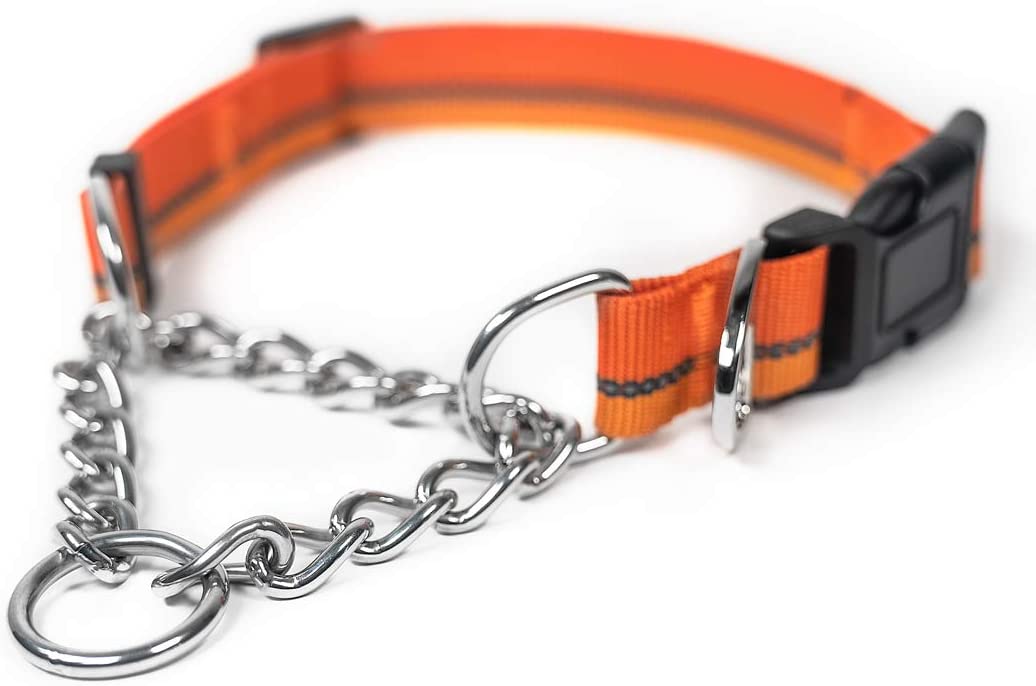 Mighty Paw Martingale Dog Collar 2.0 | Trainer Approved Limited Slip Collar with Stainless Steel Chain & Heavy Duty Buckle. Modified Cinch Collar for Gentle & Effective Pet Training