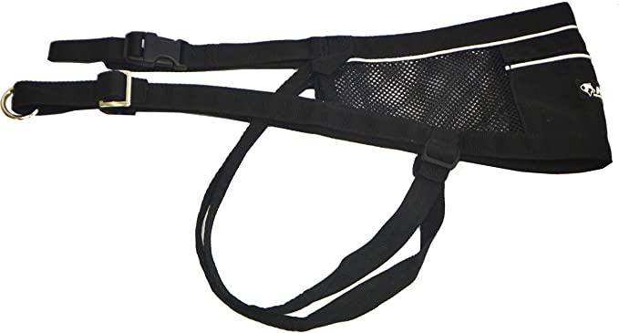Neewa Canicross & Skijoring Belt to Run or Walk with Your Dog with Dog Running Leash Hands Free 2 Dogs or One, Dog Walking Belt for Multiple Dogs (One-Size-Fits-All, Black)