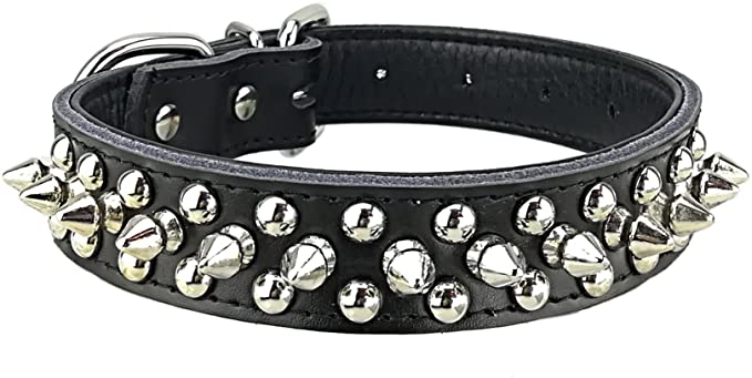 Newtensina Dog Studded Collar Punk Dog Collar with Studs for Dogs