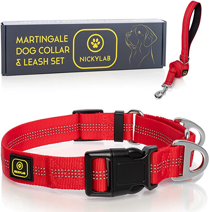 NICKYLAB - Martingale Dog Collar and Leash (Bonus) - Large, Extra Large Dogs