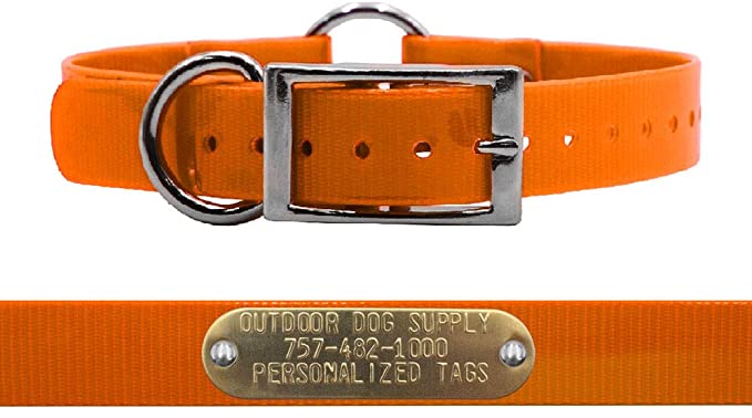 Outdoor Dog Supply 1" Wide Solid Color Ring in Center Dog Collar Strap with Custom Brass Name Plate