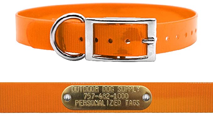 Outdoor Dog Supply's 1" Wide Solid D Ring Dog Collar Strap with Custom Brass Name Plate