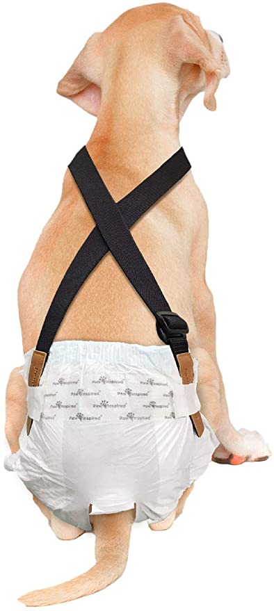 Paw Inspired The Original Dog Diaper Suspenders | Belly Bands Canine Harness | Durable Dress & Diaper Keeper | Keep Diaper on Your Dog, for Small Medium and Large Dogs