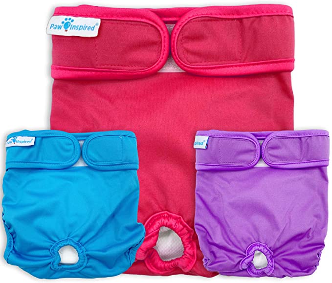 Paw Inspired Washable Dog Diapers | Reusable Dog Diapers | Washable Female Dog Diapers