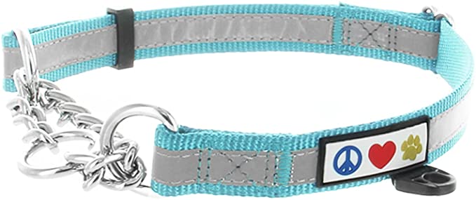 Pawtitas Martingale Dog Collar with Chain a Reflective Dog Training Collar for Medium Dogs