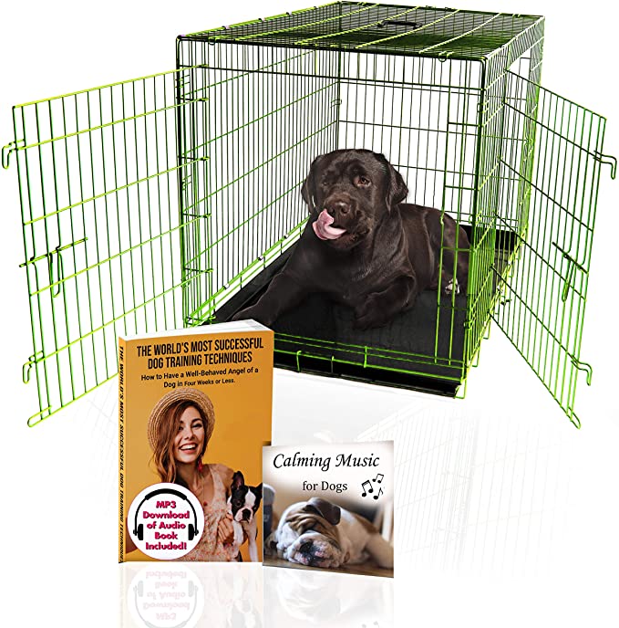 PET Expressions Luxury Colorful 48 Inch Foldable Dog Crate with 2 Doors | Free Training Ebook and Pet Calming Music | 3 Colors & 3