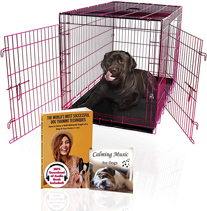 PET Expressions Luxury Colorful 48 Inch Foldable Dog Crate with 2 Doors - HOT PINK MAGENTA