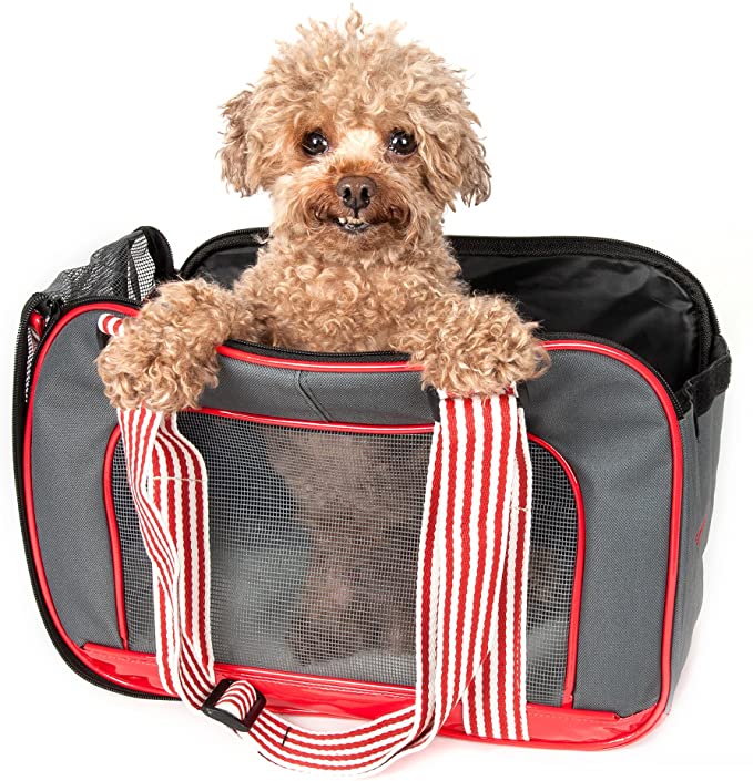 PET LIFE 'Candy Cane' striped Fashion Designer Travel Pet Dog Carrier
