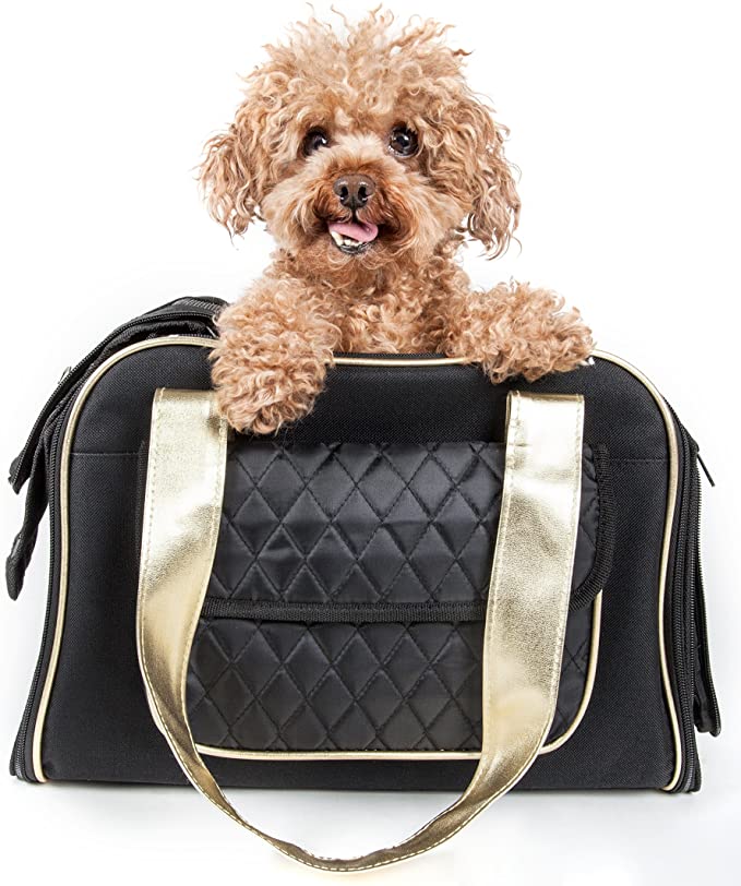 PET LIFE 'Mystique' Airline Approved Fashion Designer Travel Pet Dog Carrier