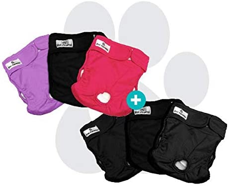 Pet Parents Washable Dog Diapers Bundle of Doggie Diapers, Color: Princess, and Black Small Dog Diapers 6 Total Premium Washable Dog Diapers