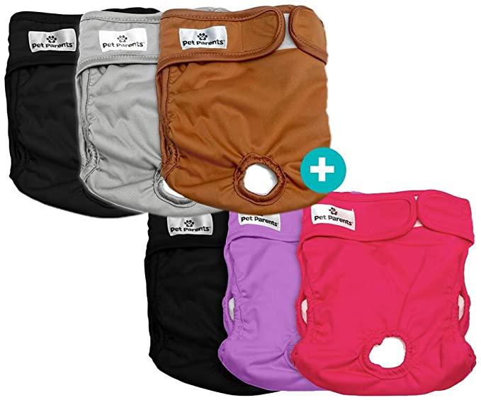 Pet Parents Washable Dog Diapers Bundle of Doggie Diapers, Color: Princess, and Natural Extra Small Dog Diapers 6 Total Premium Washable Dog Diapers