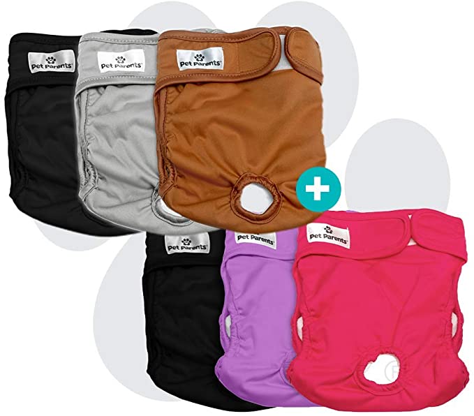 Pet Parents Washable Dog Diapers Bundle of Doggie Diapers, Color: Princess, and Natural Large Dog Diapers 6 Total Premium Washable Dog Diapers