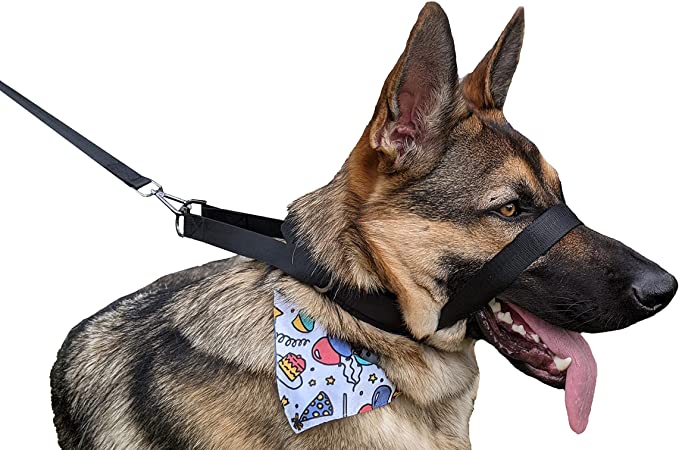 Pets ProMax - Headcollar, No-Pull Dog Collar, Dog Walking/Training Dog Collar | Leash Included | Training Collar for Dogs