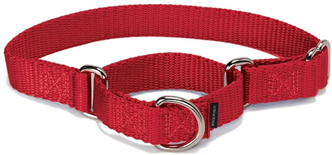 PetSafe Adjustable Martingale Collar - Only Tightens When Dogs Pull, Prevents Slipping Out - Helps with Strong Pullers, Increased Control - Alternative to Choke Collar - Multiple Colors and Sizes