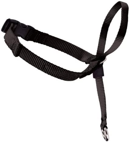 PetSafe Easy Walk Head Collar