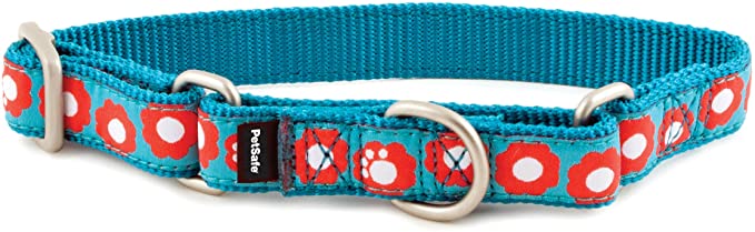 PetSafe Fido Finery Martingale-Style Dog Collar, 1-Inch, Large, Teal My Heart